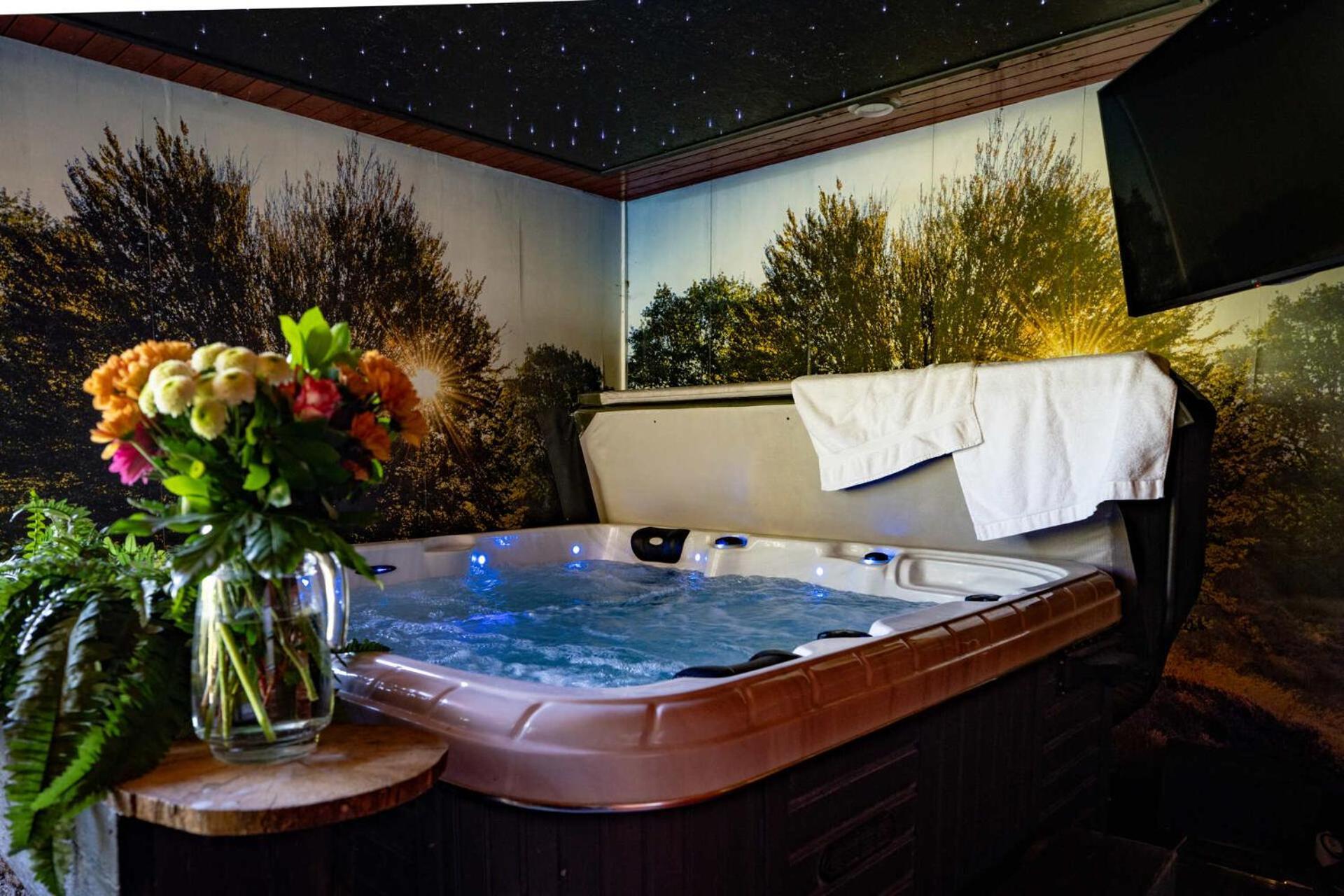 Drents Genieten - Dopheide Met Prive Jacuzzi En Sauna Erm Extérieur photo